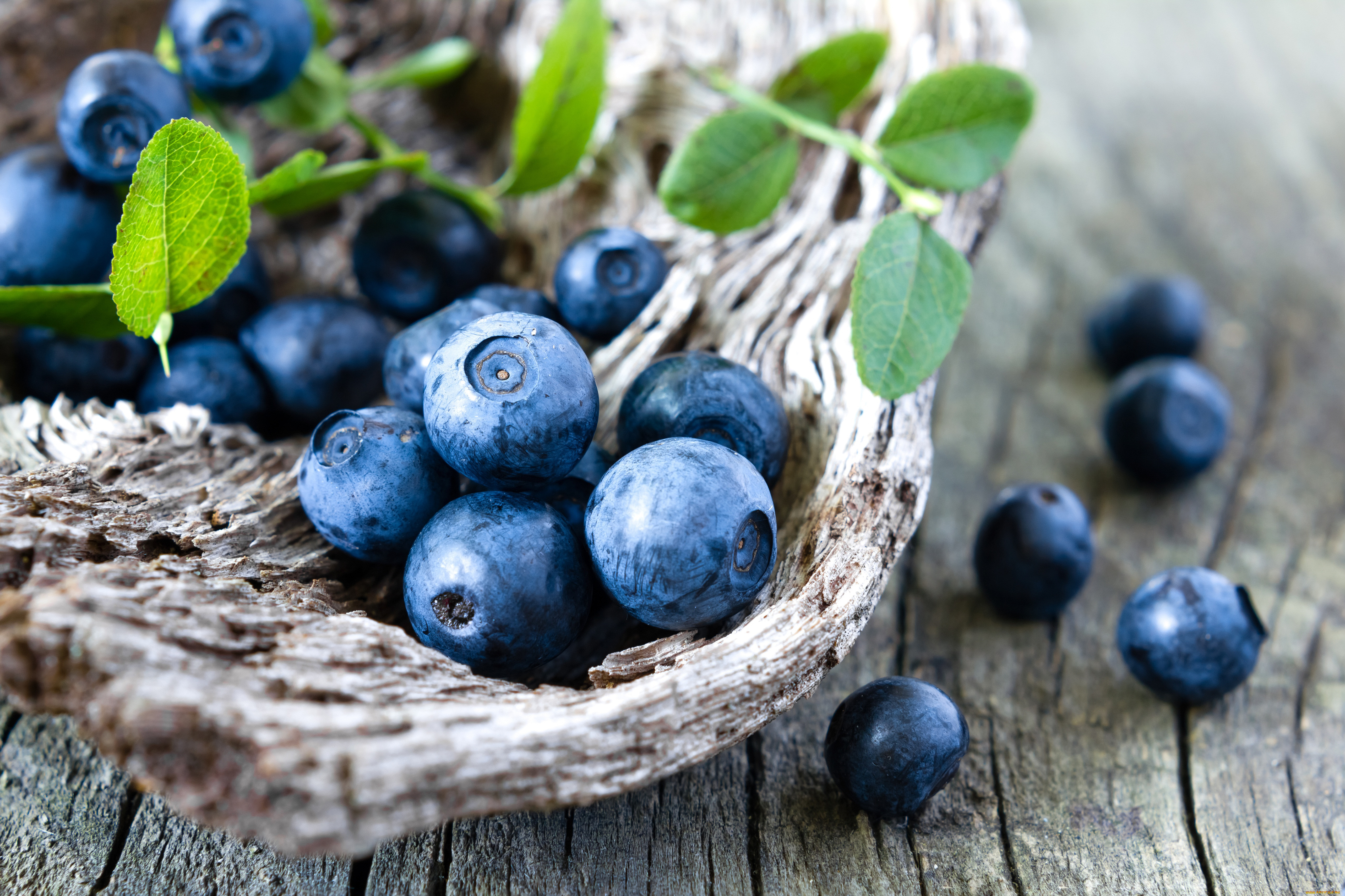 , ,  , blueberry, fresh, berries, wood, , 